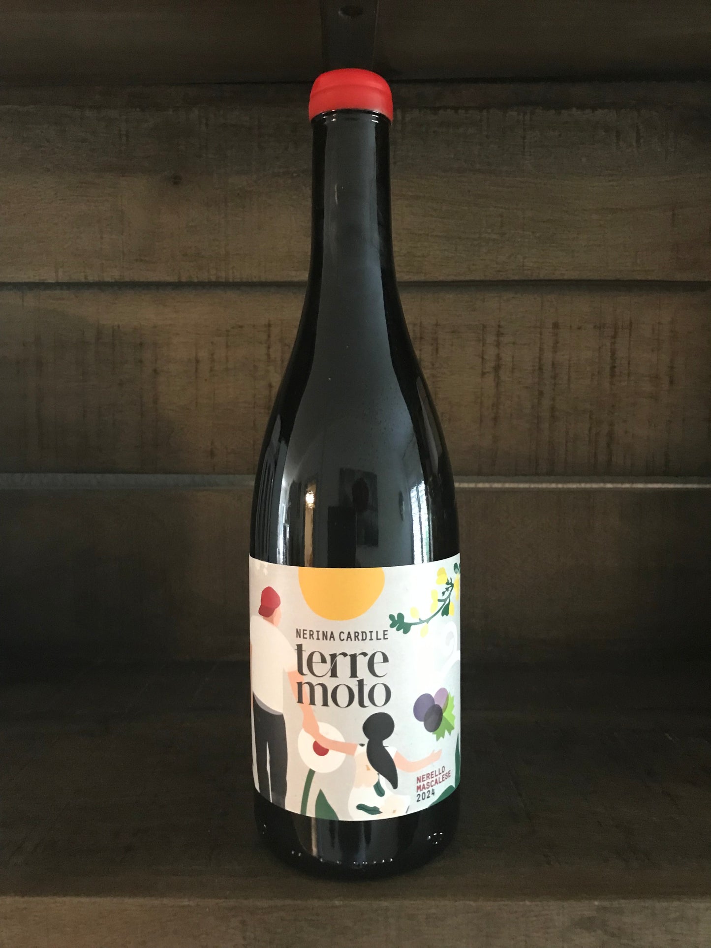 TerreMoto